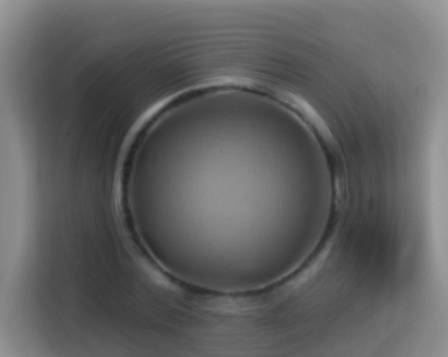 X0000114100780200910051444