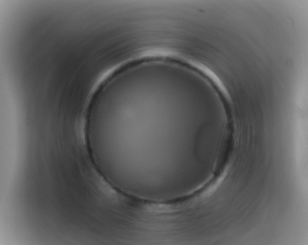 X0000114100783200910051444