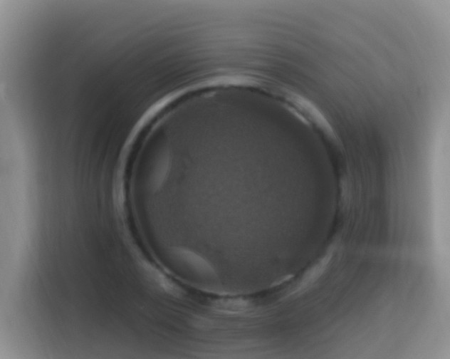 X0000114100784200910051444