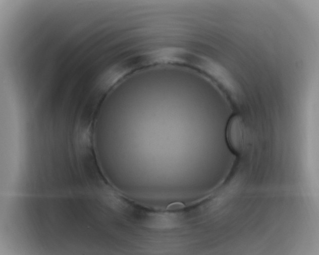 X0000114100785200910051444