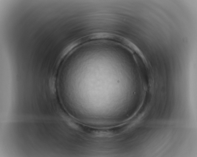 X0000114100786200910051444