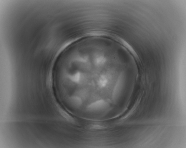 X0000114100787200910051444