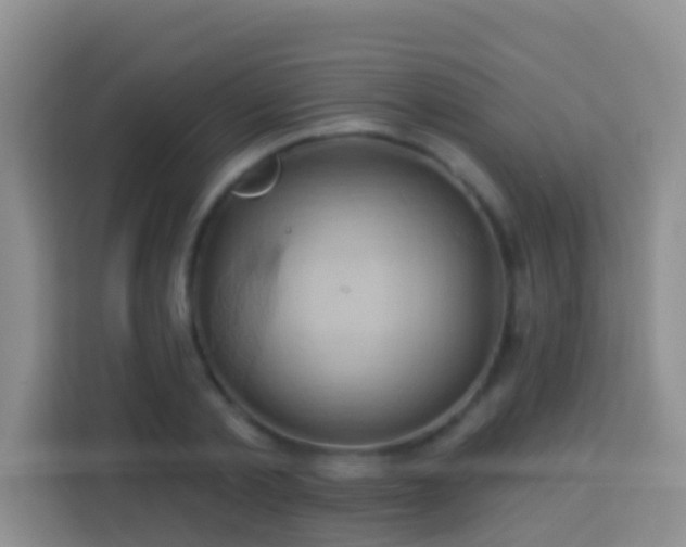 X0000114100789200910051444