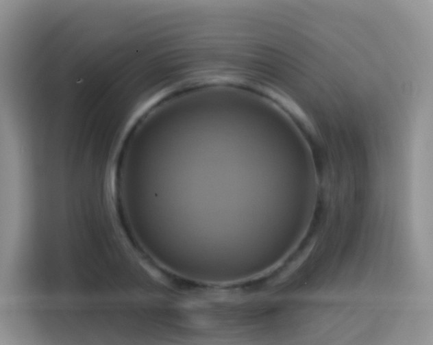 X0000114100790200910051444