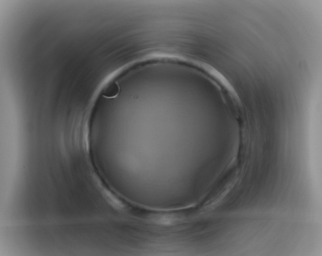 X0000114100791200910051444