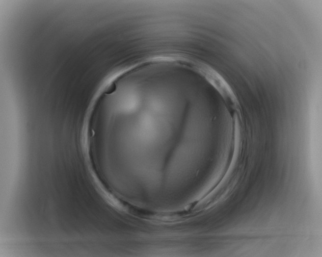 X0000114100795200910051444