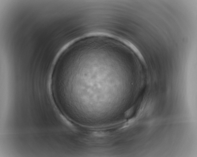 X0000114100799200910051444