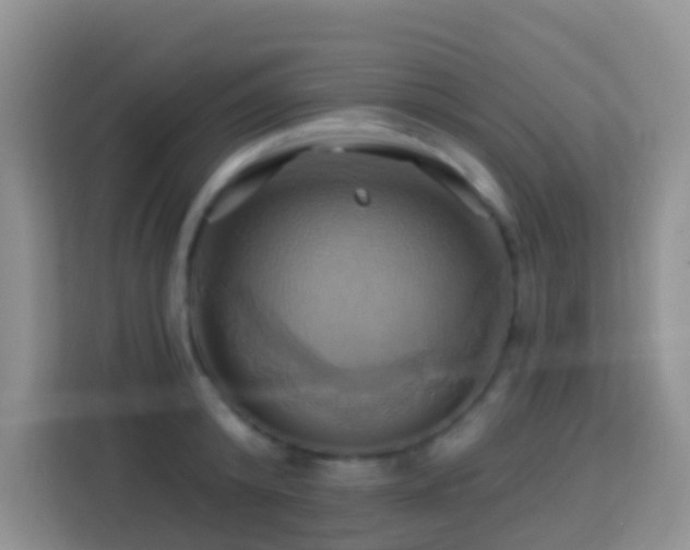 X0000114100800200910051444