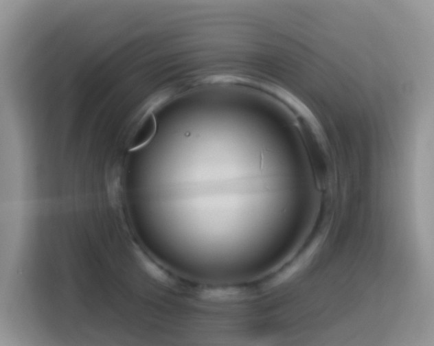 X0000114100801200910051444