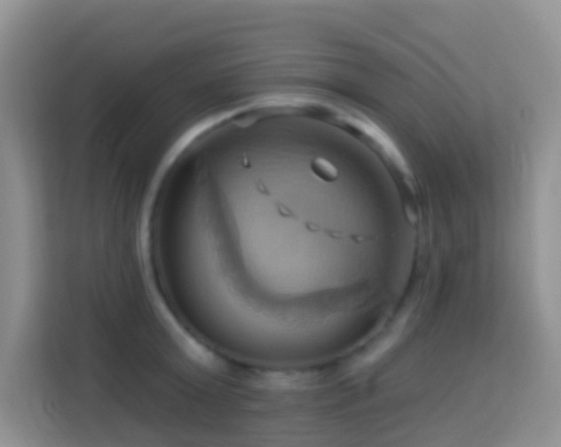 X0000114100803200910051444