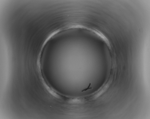 X0000114100806200910051444