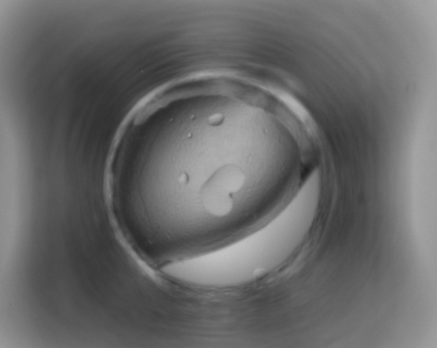 X0000114100807200910051444