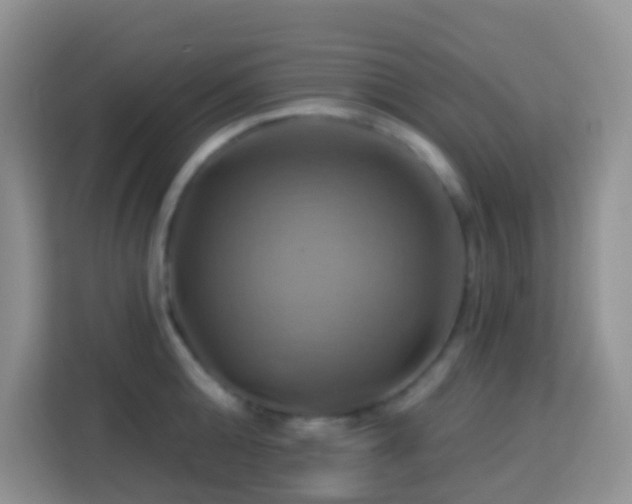 X0000114100808200910051444