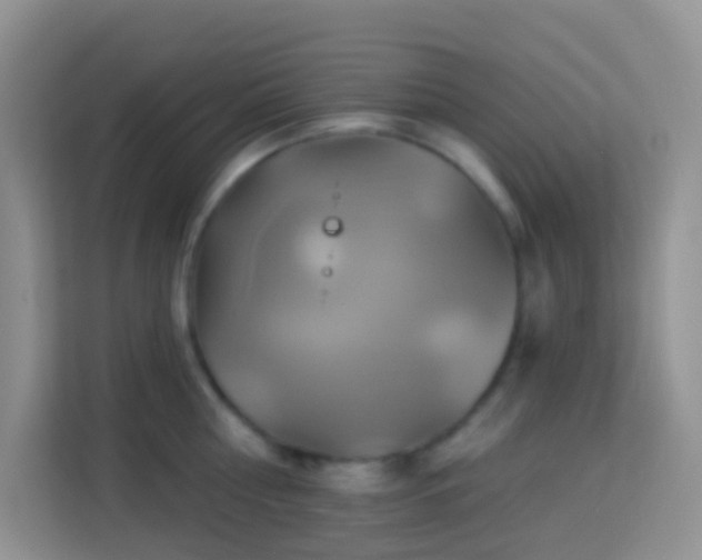 X0000114100810200910051444