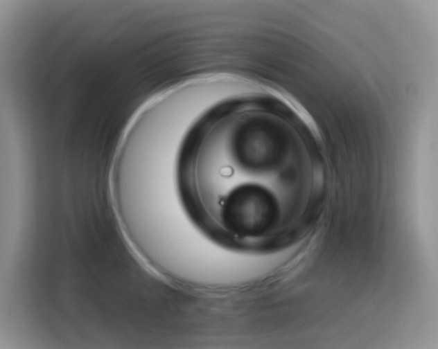 X0000114100813200910051444