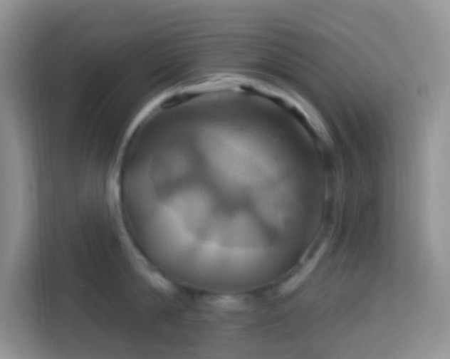 X0000114100814200910051444