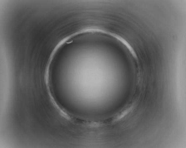 X0000114100815200910051444