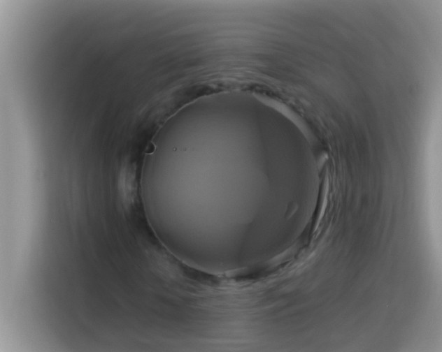 X0000114100818200910051443