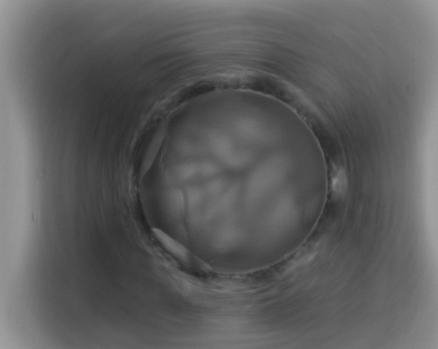 X0000114100819200910051443