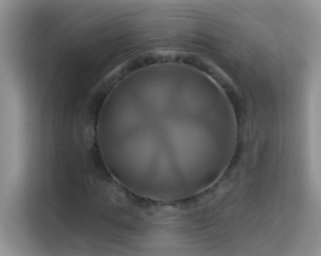 X0000114100821200910051443