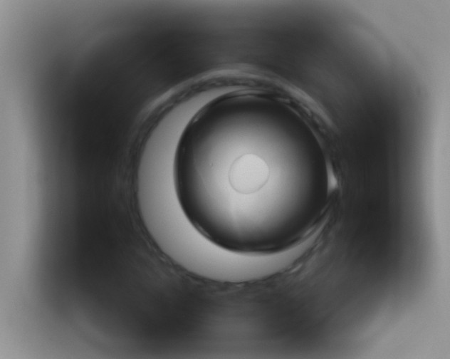 X0000114100822200910051443