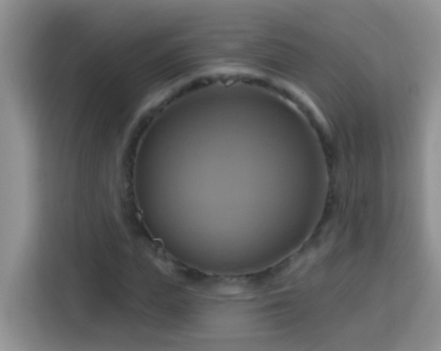 X0000114100823200910051443