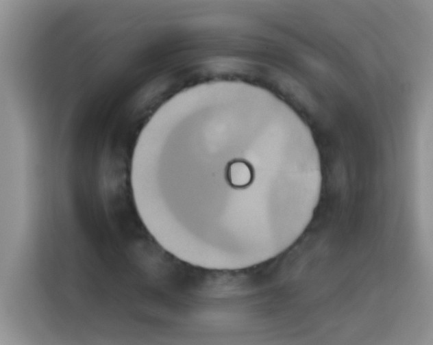 X0000114100824200910051443