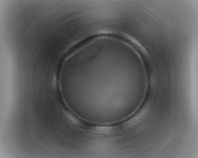 X0000114100825200910051443