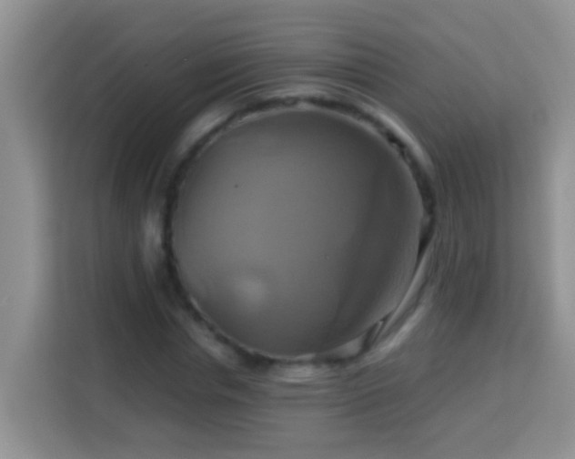 X0000114100826200910051443