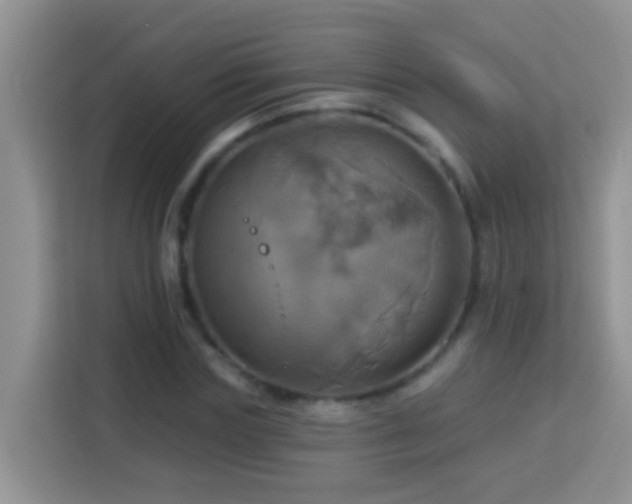 X0000114100827200910051443