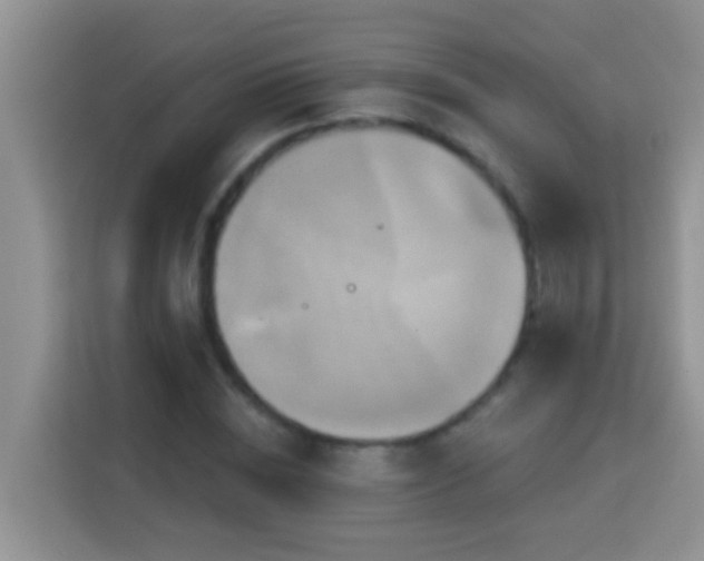 X0000114100828200910051443