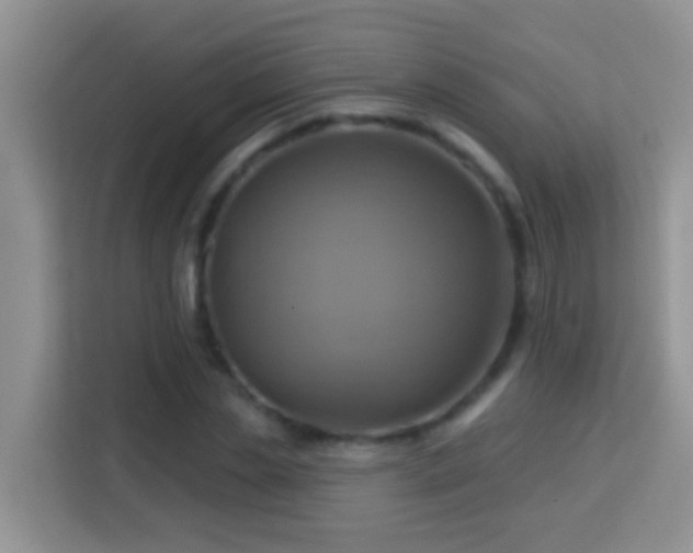 X0000114100829200910051443