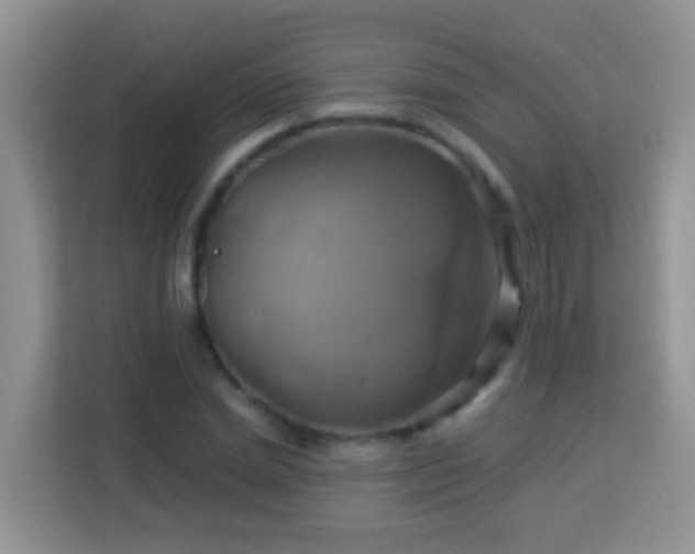 X0000114100830200910051443