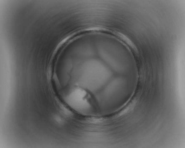 X0000114100831200910051443