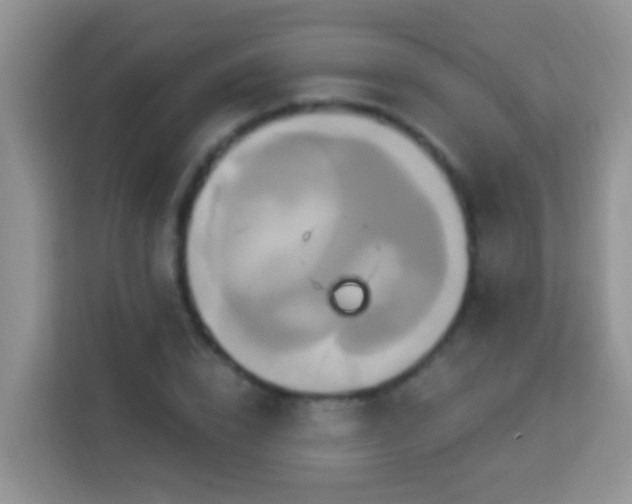 X0000114100832200910051443