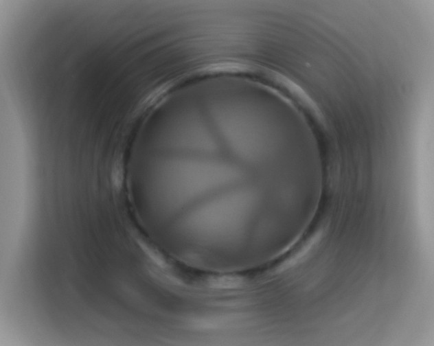 X0000114100833200910051443