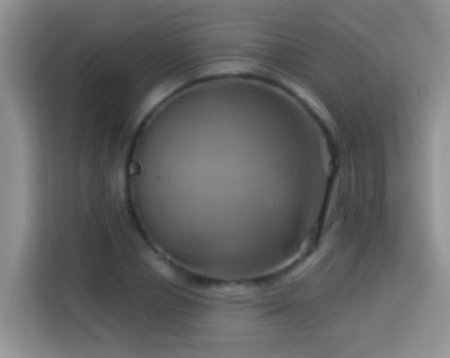 X0000114100834200910051443