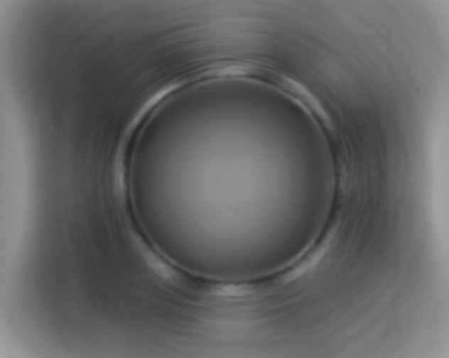 X0000114100835200910051443