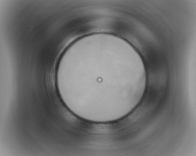 X0000114100836200910051443