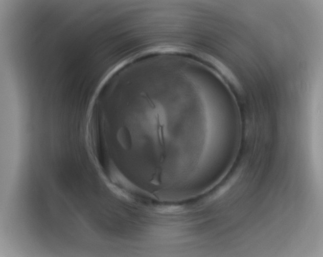 X0000114100837200910051443