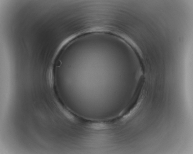 X0000114100838200910051443