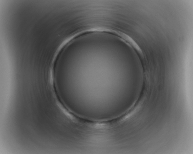 X0000114100839200910051443