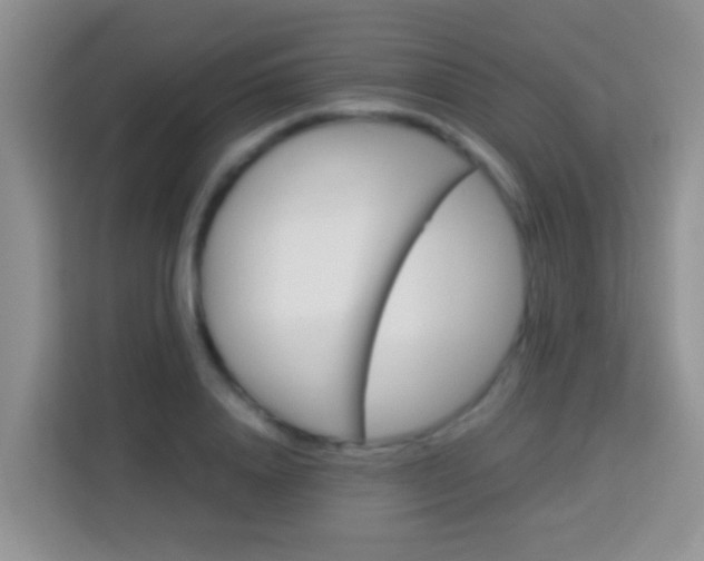 X0000114100840200910051443