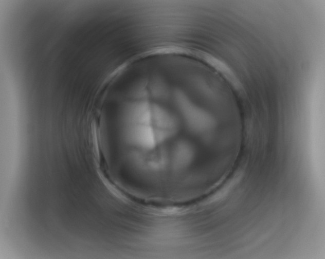 X0000114100841200910051443