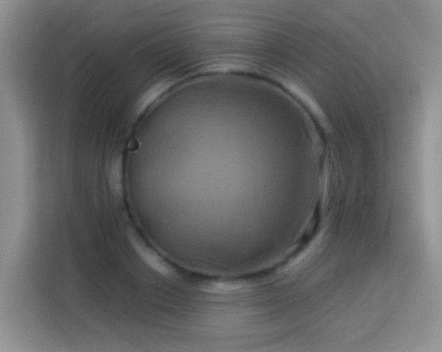 X0000114100842200910051443