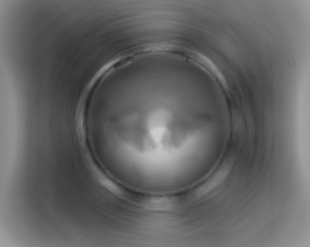 X0000114100843200910051443