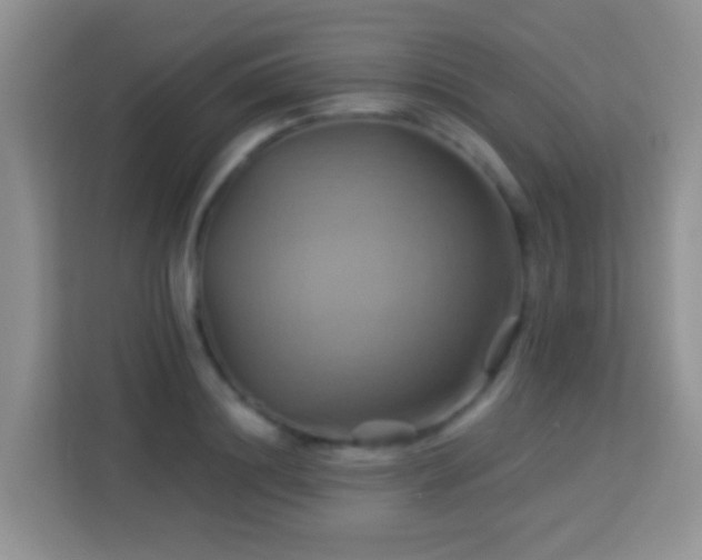 X0000114100844200910051443