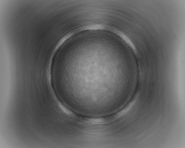 X0000114100845200910051443