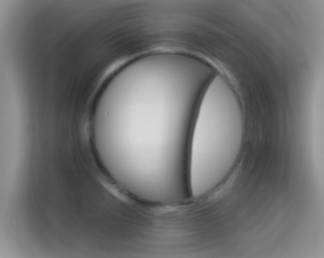 X0000114100846200910051443