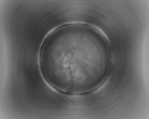 X0000114100847200910051443